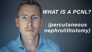 PCNL What is a percutaneous nephrolithotomy [upl. by Arayk]