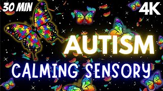 Autism Calming Sensory Music Tension Release Butterfly Visuals [upl. by Irahs706]