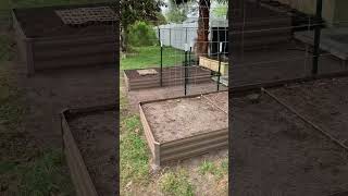 Raised Garden Beds With Cattle Fence Panel [upl. by Yak]