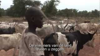 Veehouderij 20 de Dinka in ZuidSoedan [upl. by Kiah]