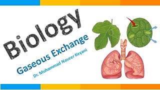 How gaseous exchange takes place in Plants پودوں میں گیسوں کا تبادلہ کیسے ؟Education amp Training [upl. by Odlabso]