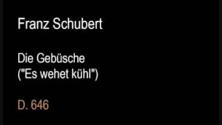 Schubert D646 Die Gebüsche Es wehet kühlwmv [upl. by Leahcir230]