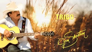 TRIGO LYRIC VIDEO OFICIAL [upl. by Anavi]