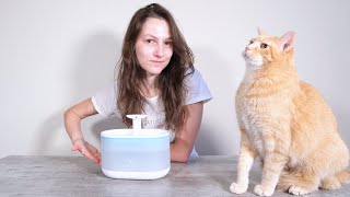 Petlibro Capsule Cat Water Fountain Review We Tried It for 1 Month [upl. by Rosen]