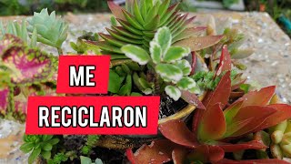 10 hermosos mini jardines reciclando manualidades [upl. by Cully]