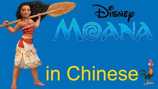 Moana in Chinese  Youre Welcome 不客气 Chinese Subtitles  Disney Songs in Chinese [upl. by Adnilem710]