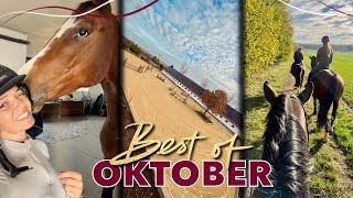 Freispringfails amp neue 🐴  BEST OF OKTOBER 2024 [upl. by Jess46]