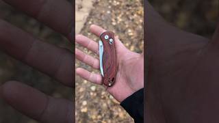 Kizer Drop Bear nitrov amp rosewood demo shorts [upl. by Anilorak]