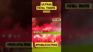 ULTRAS FATAL TIGERS  AMBIANCE PYROSHOW publicultras ultras ultrasworld curvanord fes mas pov [upl. by Opalina629]