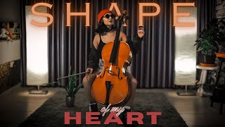 Shape of My Heart Cello Cover by Vesislava [upl. by Arlynne101]