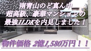 【アッパーレジデンス南青山】超高級マンション！豪華マンションを内見してきました！最強の1LDKです。港区タワーマンション新築マンション高級マンション都心マンションルームツアー眺望良好 [upl. by Leonardo]