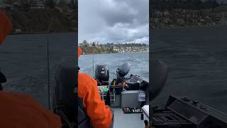 Fishing Blackmouth Chinook in March South Puget Sound [upl. by Calen850]