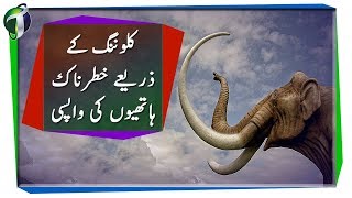 Cloning Woolly Mammoth Urdu Hindi [upl. by Basia]