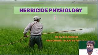 Herbicide Physiology [upl. by Chip439]