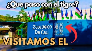 Aviario del Zoológico de Cali [upl. by Gerhan649]