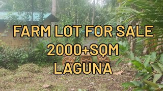 FARM LOT FOR SALE 2000 sqm LAGUNA [upl. by Nino]