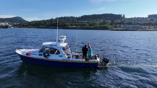 Blue Pearl Coast Adventures  Fishing Charter Powell River [upl. by Gun541]