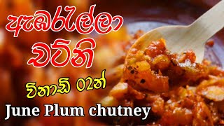 දැක්කම ආස හිතෙන ඇඹරැල්ලා චට්නි  June plum Ambarella chutney recipe sinhala [upl. by Candide]