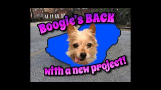 A New Project Boogie Gets a Fresh Start [upl. by Wendie111]