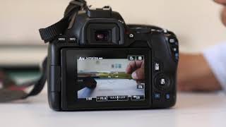 How to focus on a Canon 250D [upl. by Hamrah]