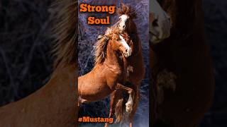 The Horse That Defied All Odds  Motivational Speech [upl. by Cottle]