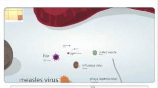 Cell and molecular size [upl. by Joell]