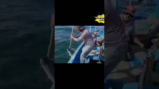 HANDLINE  FISHING fishing reel hayat mackerel sea viral shorts [upl. by Samal]