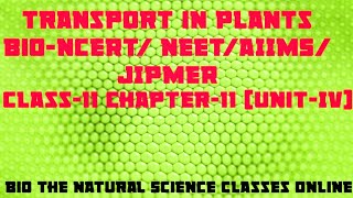 BiologyTransport in PlantsEpis411th NCERTNEET UG 202122AIIMSJIPMERTutelage Is My Intention [upl. by Ahtelra53]