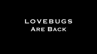 Lovebugs  Land Ho Album Trailer [upl. by Arahs]