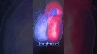 Blood flow animation  blood flow in the heart  cardiac hemodynamics  3D blood flow [upl. by Yasmeen908]