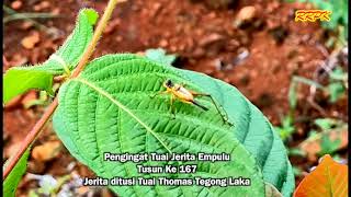 Jerita Empulu Tusun Ke 167 [upl. by Heall]