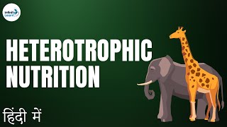 Life Processes  Lesson 03  Heterotrophic Nutrition  in Hindi हिंदी में   Dont Memorise [upl. by Sahc]