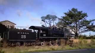 Oregon Coast Crawler [upl. by Aliahkim903]