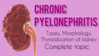 Chronic Pyelonephritis  Types  morphology  thyroidization of kidney [upl. by Aeirdna]