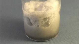 Catalytic Decomposition of Cellulose Cotton Fibers by Hydrogen Peroxide H2O2 [upl. by Shulins]