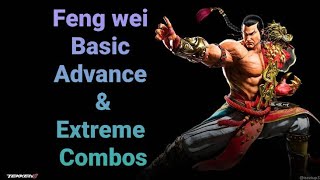 Feng Wei Basic Advance amp Extreme Combos [upl. by Dlanigger]