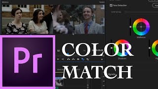 Shot Comparison amp Color Match in Lumetri Premiere Pro 121 2018 Updates [upl. by Nickolai]