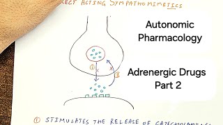 The Ultimate Guide to Adrenergic Drugs  part 2  Sympathomimetics [upl. by Abey]