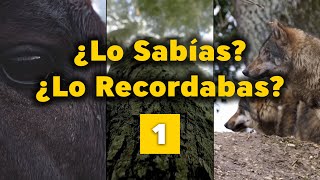 ¿Lo Sabías ¿Lo Recordabas 1 [upl. by Hasila]