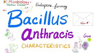 Bacillus anthracis characteristics  Microbiology 🧫 amp Infectious Diseases 🦠 [upl. by Nickolai]