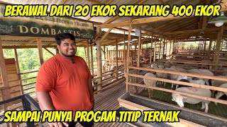 AWAL TERNAK 20 EKOR SEKARANG 400 EKOR DAN PUNYA PROGAM TITIP TERNAK  DOMBASTIS NGANJUK [upl. by Timi468]