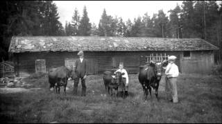 Svensk folkmusik  Låt Till Far [upl. by Eanahs]