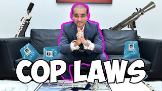 laws EVERYONE should know especially cops [upl. by Ardnasirk908]