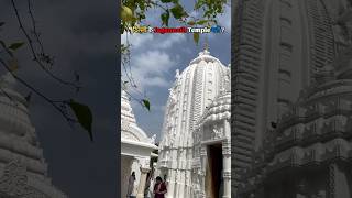 Jagannath Temple Delhi 😇 jagannath jagannathtemple delhitemple viral delhitourism [upl. by Zita]