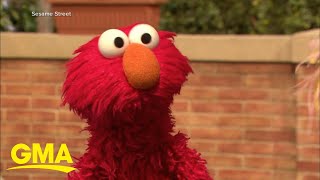 Elmo’s feud with a pet rock goes viral l GMA [upl. by Longmire]