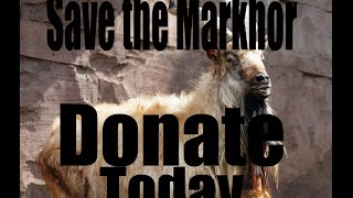 Save the Markhor [upl. by Amoakuh]