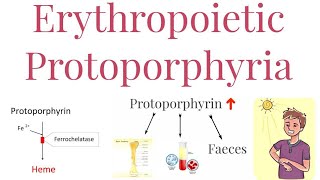 Erythropoietic Protoporphyria  Enzyme deficiency and Features [upl. by Francois]