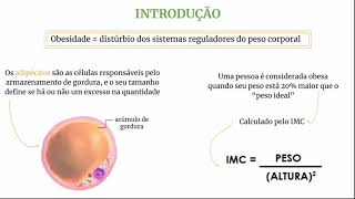 Obesidade  Histologia e Embriologia Comparada [upl. by Estey]