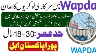 Wapda jobs 2024  Jobs in Pakistan 2024  Latest jobs 2024 [upl. by Econah]