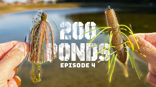 Normal Lure Vs CRAZY Lure For Pond Bass Fishing 200 Ponds Ep 4 [upl. by Enomor]